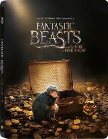 Fantastic Beasts and Where to Find Them 3D 2016 HOU BDRip 1080p Sonda