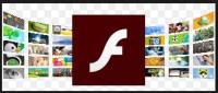 Standalone version of Adobe Flash Player