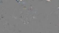 VIPArea 17 04 07 Riley Reid Rowdy Riley XXX 1080p MP4-KTR[N1C]