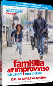 Famiglia All Improvviso Istruzioni Non Incluse 2016 iTALiAN MD BDRip XviD-FLASH