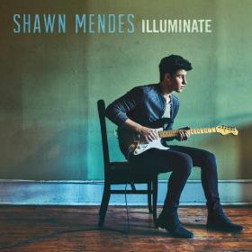 Shawn Mendes -There's Nothing Holdin' Me Back (Single) (2017) (Mp3~320kbps)