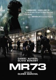 MR 73 (2008)-alE13