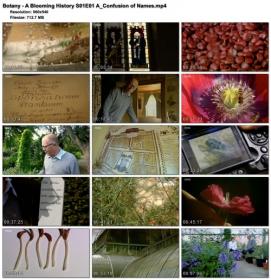 Botany - A Blooming History S01E01 A Confusion of Names