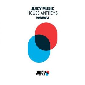 Robbie Rivera - Juicy Music Presents House Anthems Vol 4 (2017) [EDM RG]