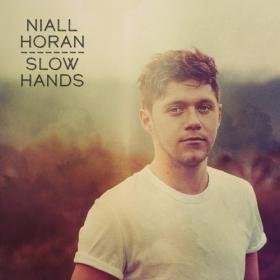 Niall Horan - Slow Hands (Single) (2017) (Mp3~320kbps)