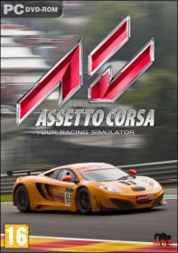 Assetto Corsa - Ready to Race (v1.14) (RUS/ENG/MULTi) [RePack] - VickNet