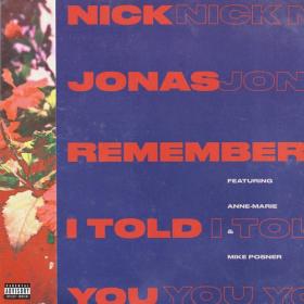 Nick Jonas - Remember I Told You (feat  Anne-Marie & Mike Posner) Single 2017 Mp3 320kbps (Hunter)