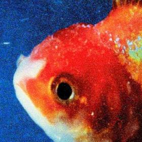 Vince Staples - Big Fish Theory (2017) Mp3 320kbps (WR Music)