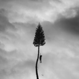 Manchester Orchestra - A Black Mile To The Surface (2017)