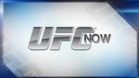 UFC Now Ep 422 Just Scratching the Surface WEB DL H264 SF63