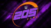 WWE 205 Live 5 September 2017 In 200MB - EnterandInfo