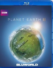 Planet Earth II Disco 2 2017 DTS ITA ENG 1080p BluRay x264-BLUWORLD