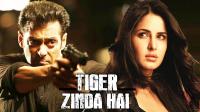 Tiger Zinda Hai - Upcoming Bollywood Movie 2017 Official Trailer HD