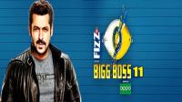 Bigg Boss 11 Ep 50 (19 Nov 2017)  720p Hindi - AquoTube