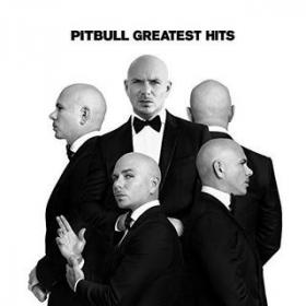 Pitbull Greatest Hits 2017