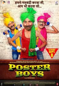 Poster Boys (2017) Hindi - 720p - DVDRip- x264 - 1.2GB - ESubs