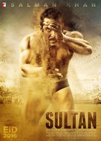 Sultan [2016] Hindi DVDRip x264 700MB ESubs