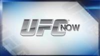 UFC Now Ep 441 A Quick Rise to Prominence WEB DL H264-SF63