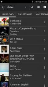 USB Audio Player v3.8.3 TipuAPK