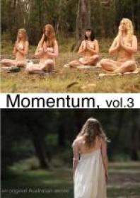 Momentum Vol  3