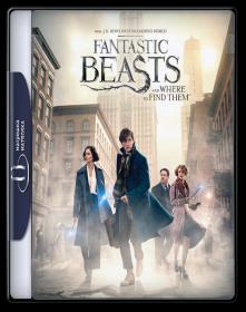 Fantastic Beast And Where To Find Them 2016 2160p Blu-Ray UHD DTS-HD MA x265