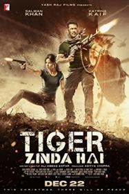 Tiger Zinda Hai (2017) Hindi DVDRip x264.1GB