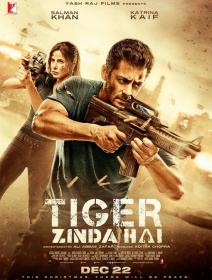 Tiger Zinda Hai (2017) Hindi - NR DVDRip - x264 - 700MB