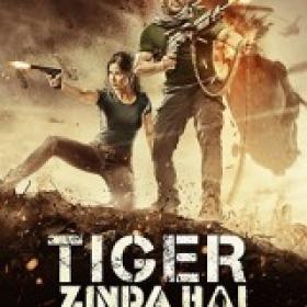 Tiger Zinda Hai (2017) Hindi NR DVD - 720p - UNTOUCHED - AAC - 2.9GB