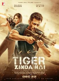 Tiger Zinda Hai (2017) Hindi 720p DVDRip x265 HEVC AC3 5.1 700MB
