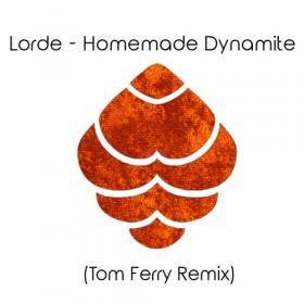 Lorde  Homemade Dynamite (Tom Ferry Remix )