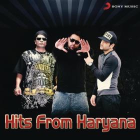 S B  The Haryanvi - Hits from Haryana - [FLAC-2014]