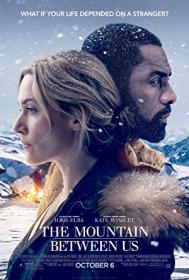 The.Mountain.Between.Us.2017.FRENCH.720p.BluRay.x264-VENUE