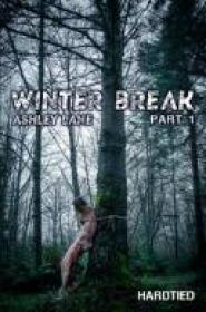 HT - 2018-01-31 - Winter Break Part 1