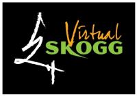 Michael Skogg - Virtual SKOGG Kettlebell Classes 21 - 40