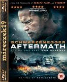 Po katastrofie-Aftermath 2017 DVDRIP XviD Napisy PL