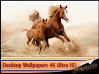 Desktop Wallpapers 4K Ultra HD  Part (112)