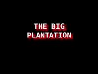 The Big Plantation - The United States is a Corporation 1933 Bankruptcy 1080p Documentary