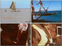 Malcolm Douglas - Australia - Land Of The Long Canoes [1980]