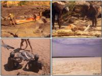 Malcolm Douglas - Australia - Canoes In The Kimberley [1982]