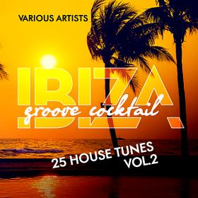 Ibiza Groove Cocktail (25 House Tunes) Vol 2 (2018)