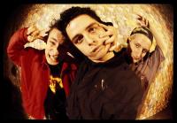 Green Day - 1995 - Insomniac (2016 HDtracks) [FLAC@96khz24bit]