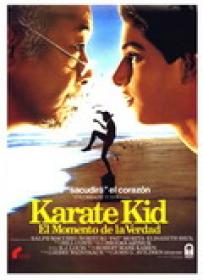 Karate Kid [BluRay Rip][Castellano]