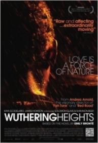 Cumbres Borrascosas (Wuthering heights) [BluRay Rip][AC3 5.1 Castellano][2013]