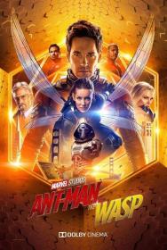 Z - Ant-Man and the Wasp (2018) English HDRip - 720p - x264 - AAC - 950MB