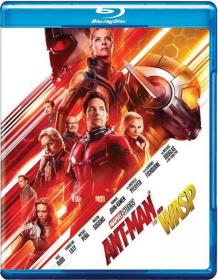 Z - Ant-Man 2 (2018) BluRay - 720p - Proper Original Auds [Telugu + Tamil + Hindi + Eng]