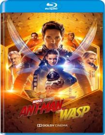 Ant-Man 2 (2018) 720p BluRay Dual Audio [Hindi 5 1 - English 2 0] ORG 720p BluRay ESubs