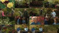 The Beechgrove Garden S40E21 540p iP WEB-DL AAC2.0 H.264-SOIL[ettv]