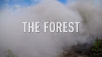 BBC The Forest 3of6 720p HDTV x264 AAC