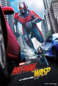 Ant-Man.And.The.Wasp.2018.iTA.ENG.AC3.1080p.BluRay.x264-T4P3