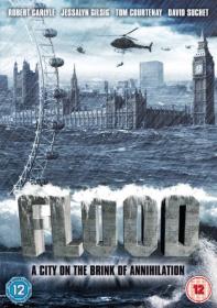 Flood 2007 DVDRip XviD-VoMiT
